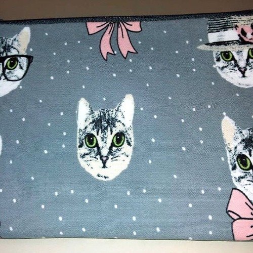 Trousse-pochette zippée chatons