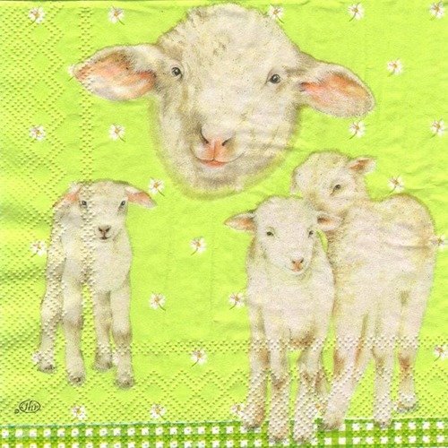 Lot 20 serviettes ihr agneau sur fond vert fleuri