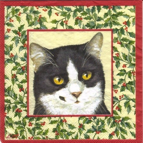 Noel - lot 20 serviettes - chat avec décors houx