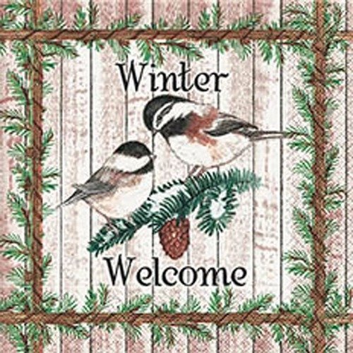 Hiver - lot 20 serviettes - winter welcome