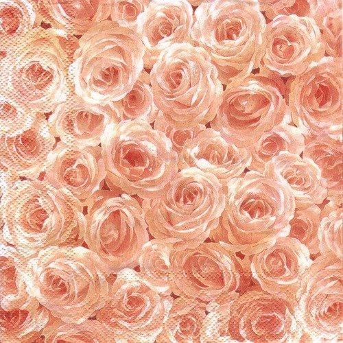 Amour - lot 20 serviettes - roses - serviette recouverte de rose 
