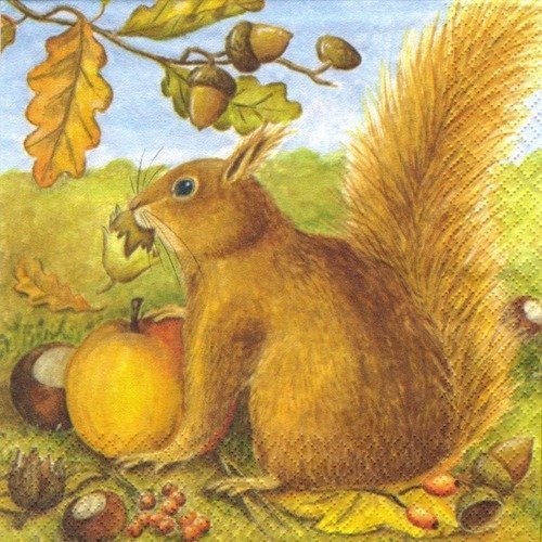 Automne - lot 20 serviettes - ecureuils sur un fond d'automne