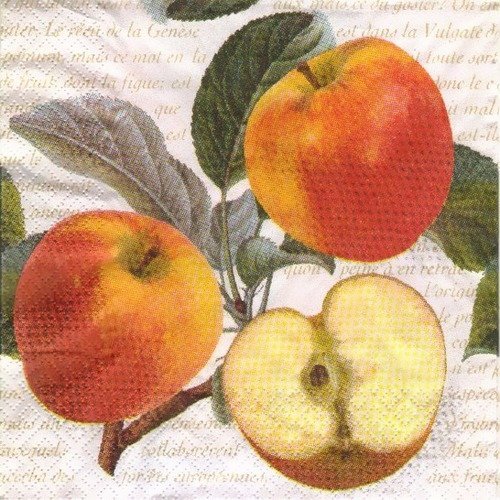 Automne - lot de 20 serviettes - pommes - couleurs d'automne