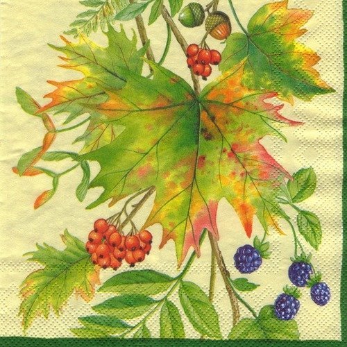Automne - lot 20 serviettes - décors de feuilles d'automne
