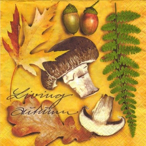 Automne - lot 20 serviettes - champignons et décors d'automne