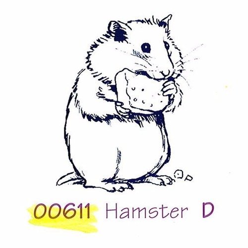 Tampon en bois - hamster - marque aladine 
