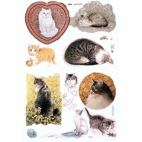 10 feuilles chromos - portraits de chats 