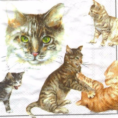 Lot 20 serviettes - chats - chats qui jouent - ihr 