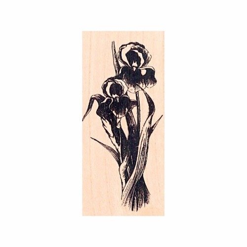 Tampon en bois - deux fleurs - marque aladine 