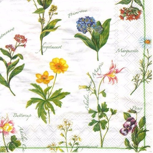 Lot 20 serviettes - différentes fleurs avec leur nom 