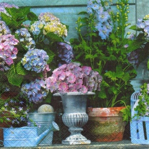 Lot 20 serviettes - fleurs - hortensia en pot - différentes couleurs 