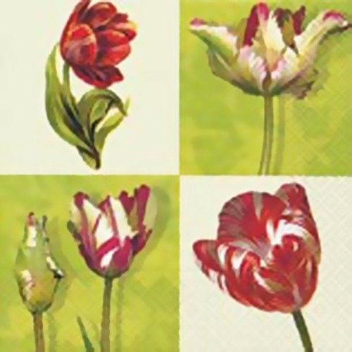 Lot 20 serviettes - tulipes  sur fond carré 