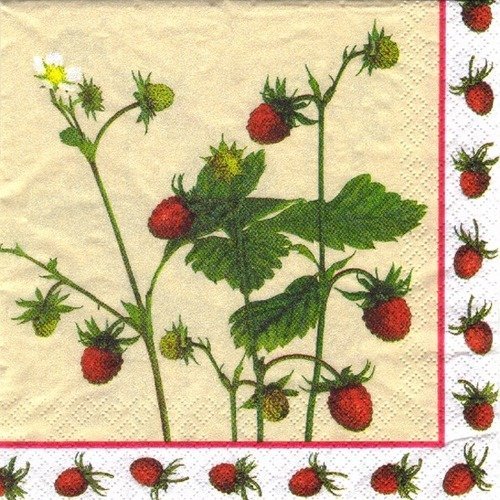 Lot 20 serviettes - fraises - branches de fraises sauvages 