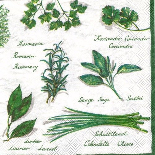 Lot 20 serviettes - plantes aromatiques et leurs noms 