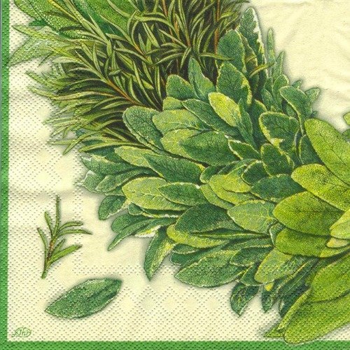 Lot 20 serviettes - couronne de plantes - vive l'été 