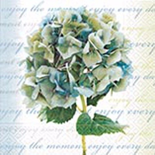Lot 20 serviettes - fleur hortensia - vive le printemps