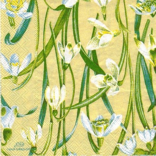 Lot 20 serviettes - petites fleurs blanches - serviette en papier 