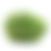 Sachet 50grs déco-sisal vert clair décoloré