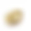 1 pendentif perle coquillage cauris 14 mm plaqué doré