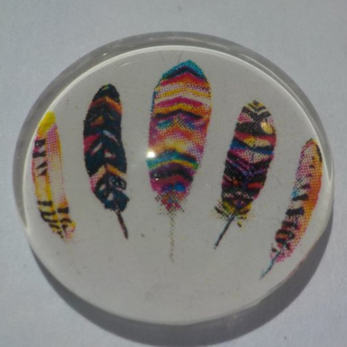 Cabochon avec son image de plumes, multicolore, en verre, rond, 20 mm