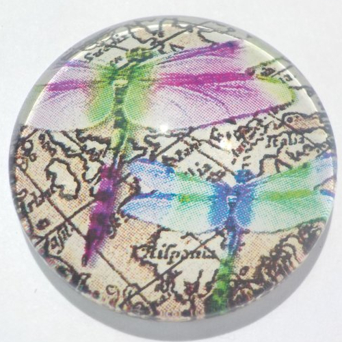 Cabochon de verre, libellules, 25 mm, multicolore, libellules,