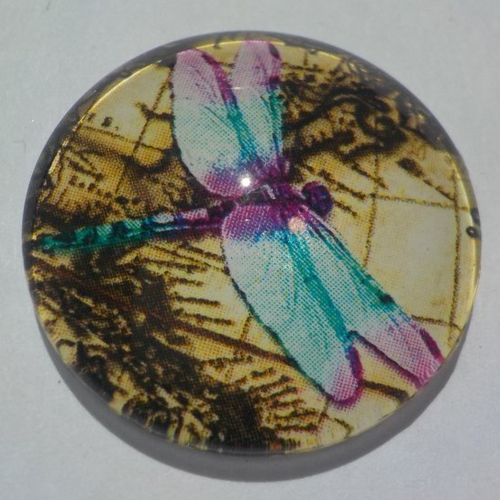 Cabochon de verre, libellule, 25 mm, multicolore, libellules,