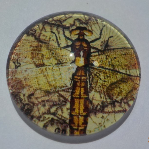 Cabochon de verre, insecte, 25 mm, jaune, marron,