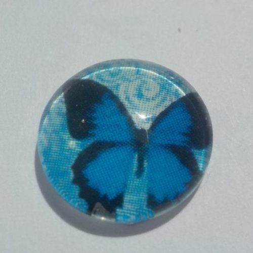 Cabochon de verre, papillons, bleu, noir, 12 mm, multicolore,