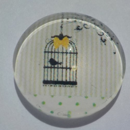 Cabochon avec son image de cage à oiseau, multicolore, en verre, rond, 18 mm