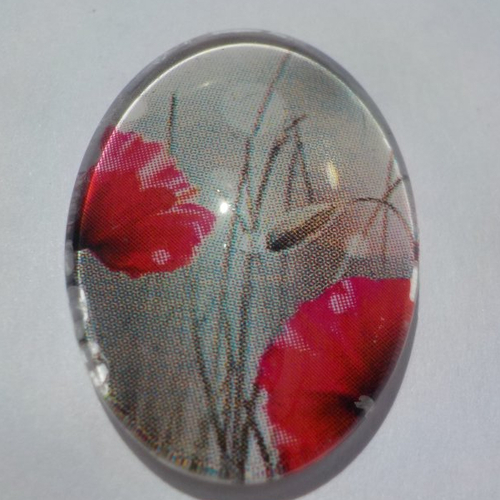 Cabochon, ovale, coquelicot, en verre 18 x 25 mm