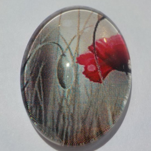 Cabochon, ovale, coquelicot, en verre 18 x 25 mm