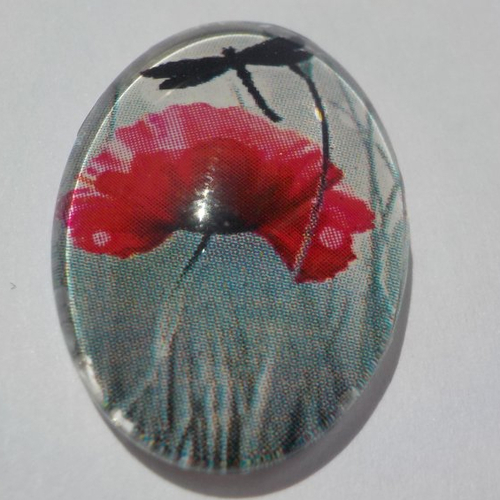 Cabochon, ovale, coquelicot, libellule, en verre 18 x 25 mm
