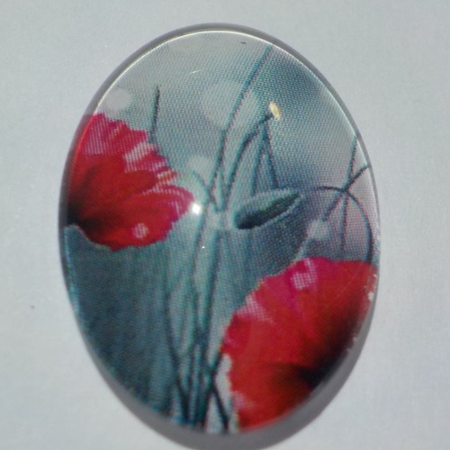 Cabochon, ovale, coquelicot, en verre 18 x 25 mm, gris, rouge,