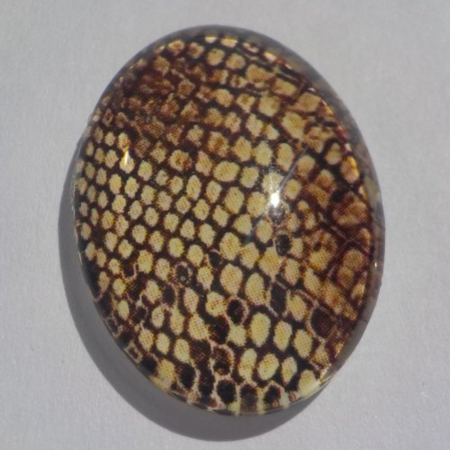 Cabochon, ovale, imprimé serpent, nature, en verre 18 x 25 mm