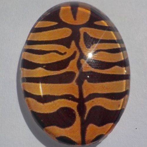 Cabochon, ovale, imprimé tigre, nature, en verre 18 x 25 mm