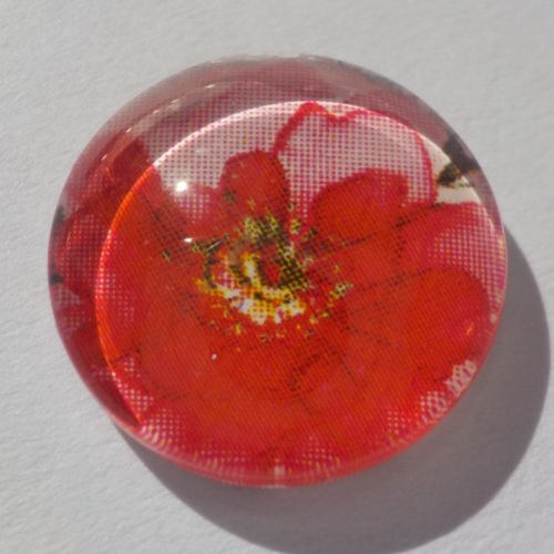 Cabochon de verre, image de coquelicot,14 mm,