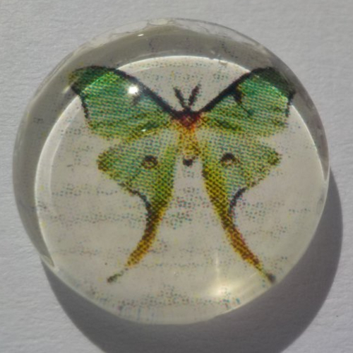 Cabochon de verre, image, papillons,14 m, vert, beige,