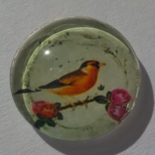 Cabochon de verre liberty, image d'oiseau, multicolore,14 mm,
