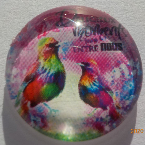Cabochon en verre, oiseaux, rond, en 20 mm, rose, vert, multicolore,