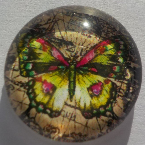 Cabochon en verre, papillons, jaune, beige, rond, en 20 mm,