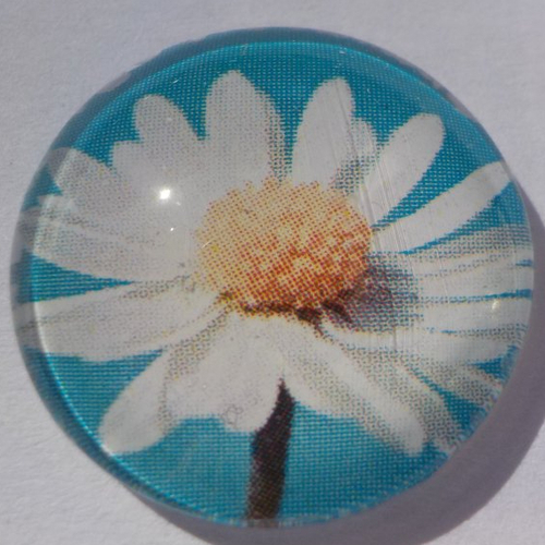 Cabochon avec son image de fleurs, en verre, rond, 20 mm