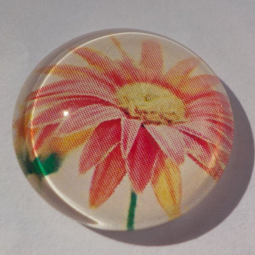 Cabochon avec son image de fleur, en verre, rond, 20 mm