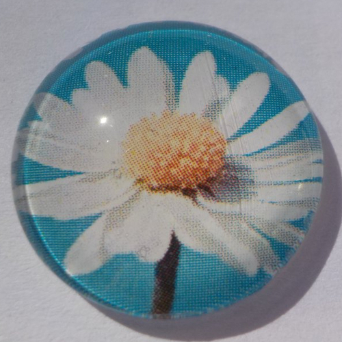 Cabochon, fleur, 25 mm