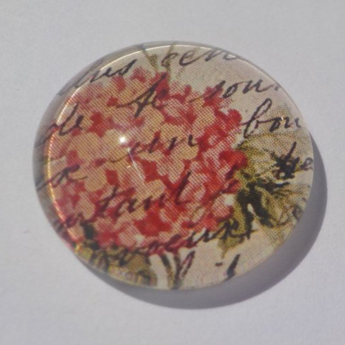 Cabochon fleur corail, 20 mm, verre,