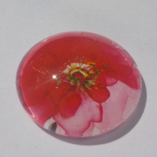 Cabochon coquelicot, 20 mm, verre, rouge,