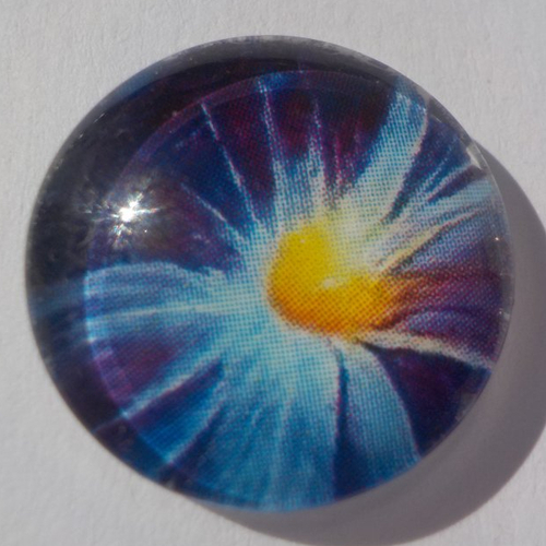 Cabochon fleur/18 mm/confection bijoux/verre/multicolore/multicolore