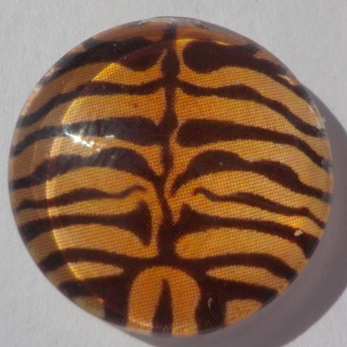 Cabochon d'imprimé tigre/18 mm/confection bijoux/verre/orange/noir