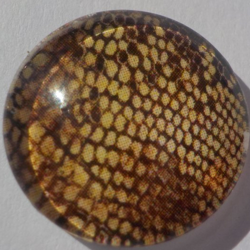 Cabochon d'imprimé serpent/18 mm/confection bijoux/verre/marron