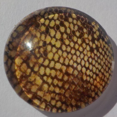 Cabochon imprimé serpent/18 mm/confection bijoux/verre/noir/beige