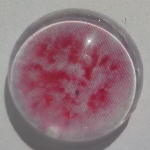 Cabochon rose/16 mm/confection bijoux/verre/